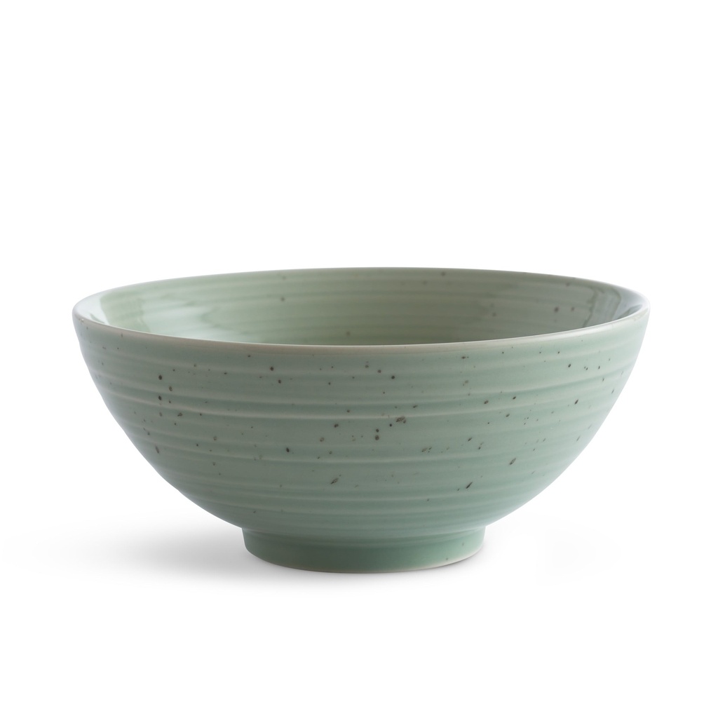 sango-siterra-artists-blend-stoneware-dinnerware-set-16-piece-sage-blue-gray-cream-10-230400c7-682c-48ce-957e-5d5b4f57d6ed.015f0bb174594cfd476f579ad8aeafde.jpg