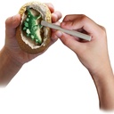thames-kosmos-i-dig-it-dino-egg-excavation-kit-styles-may-vary-unisex-children-ages-5-02-a636c6f6-eeba-4d72-8f42-1ab7dfba8673.f1757cc7186bc6bd7bbd04a0c92b3e76.jpg
