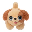 little-live-pets-my-puppys-home-minis-home-plush-toy-and-orange-kennel-playset-ages-5-styles-vary-17-1fd018beafae3d4ddb13925049f4064d.jpg