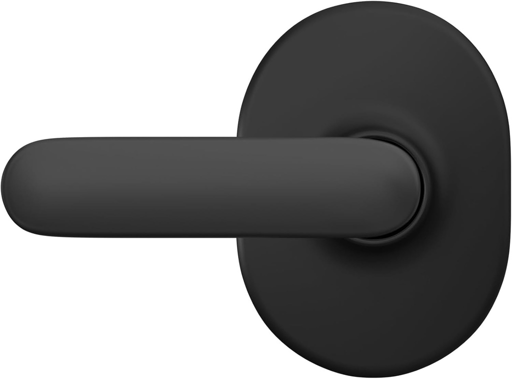 schlage-f10dav622rmn-davlin-door-lever-with-remsen-trim-hall-closet-passage-handle-matte-black-08-ca9a3180661890740e186998983b613f.jpg