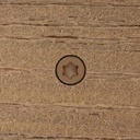 headcote-trim-screws-8-x-2-1-2-34-brown-305-stainless-steel-350-pc-deck-pack-star-drive-03-2cad0af5047e9b5673b65571c3a839bc_8ed792ab-54e4-403a-bcaa-8841ed0fc940.jpg