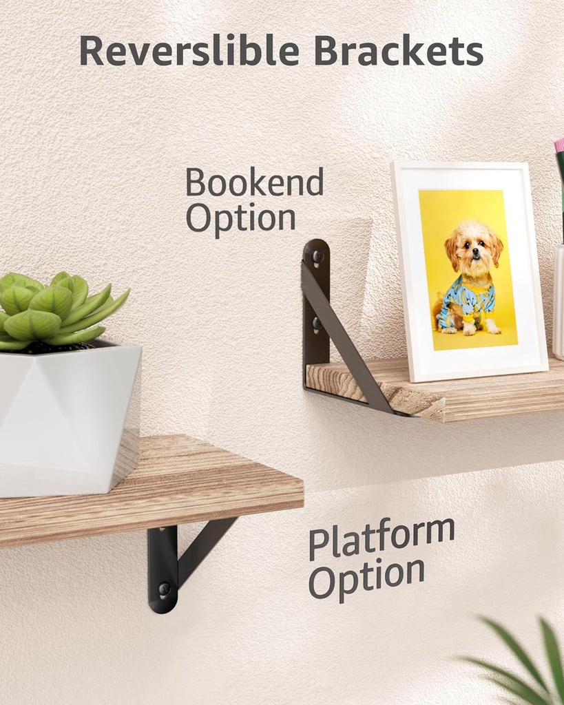 5x4-shelf-brackets-6-pack-shelf-support-shelf-holder-steel-wall-mount-heavy-duty-small-l-shape-triangle-90-degree-metal-black-with-screws-anchors-soporte-de-estante-03-9795a670380261dc2e85efb5483af22c.jpg