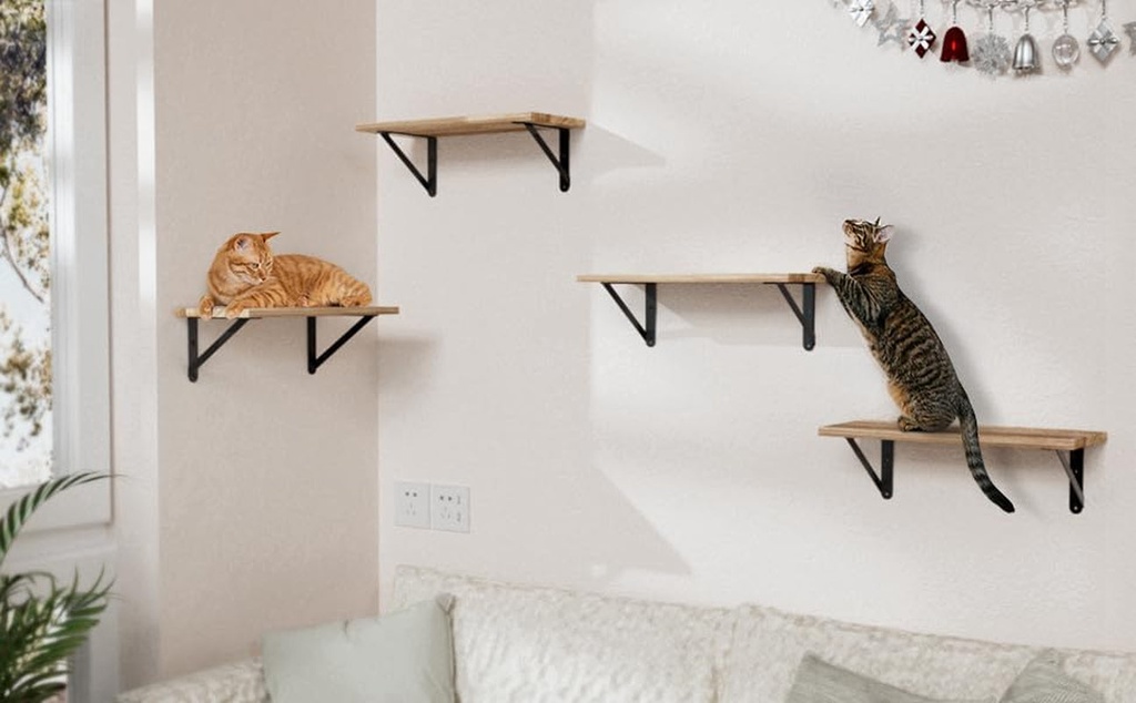 5x4-shelf-brackets-6-pack-shelf-support-shelf-holder-steel-wall-mount-heavy-duty-small-l-shape-triangle-90-degree-metal-black-with-screws-anchors-soporte-de-estante-05-07ce322eef45cd76132d2a8d610bc4c8.jpg
