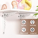 sungmor-cast-iron-heavy-duty-shelf-brackets-rustproof-sturdy-90-right-angle-wall-hanging-supoort-board-hangers-2pc-white-18-5cm-7-3inch-elegant-decorative-corner-brace-joint-angle-bracket-07-2e536335efe492d319a67a7a7109b365.jpg