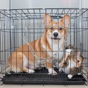 gate-chain-lock-23-6-inch-stainless-steel-gate-link-chain-latch-with-double-ended-carabiners-for-pet-cages-horse-goat-cow-corral-supplies-3mm-thick-06-1d4b52cbc1530a2e80c7fdc39e0199b3.jpg