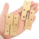 2pcs-brass-lift-off-hinge-detachable-hinge-for-window-door-gate-with-screws-right-handedness-04-23027f9eb7b639155b39e0f7bb1fbf4b.jpg