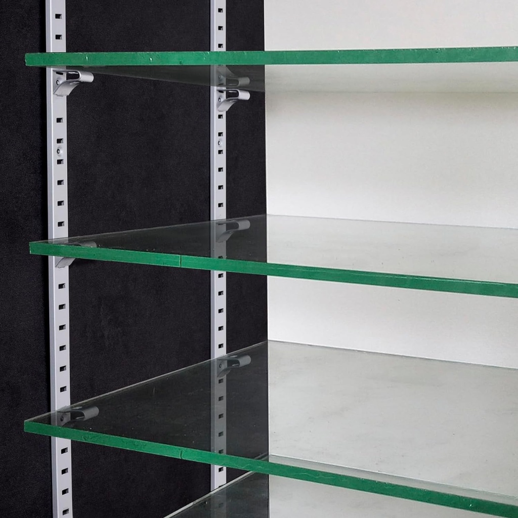 40pcs-cabinet-shelf-clips-metal-adjustable-shelf-bracket-clips-shelf-pegs-shelf-support-pins-pilaster-shelf-support-clip-for-metal-shelving-silver-05-d34c90a269956ca673598d7ca7dbd1df.jpg