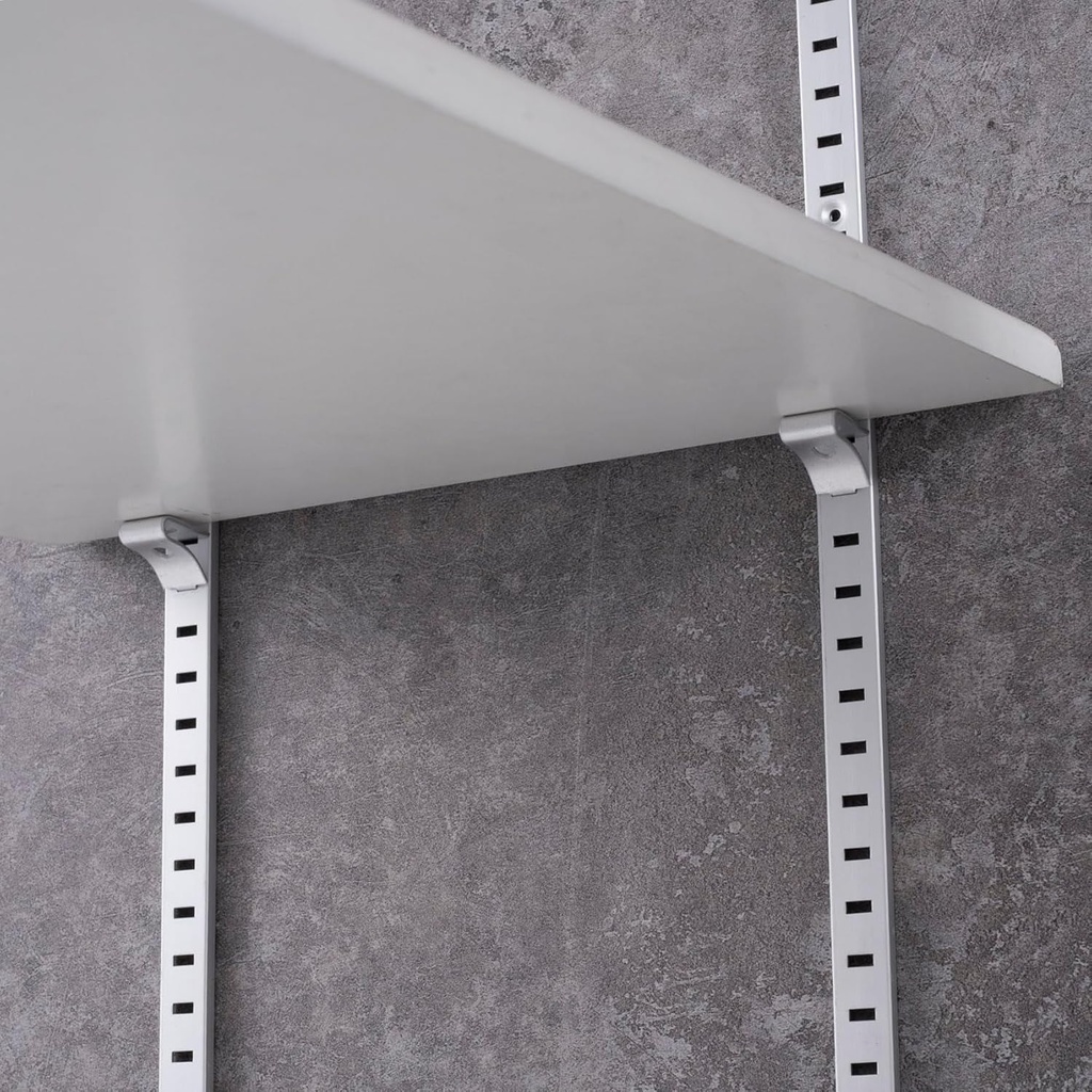 40pcs-cabinet-shelf-clips-metal-adjustable-shelf-bracket-clips-shelf-pegs-shelf-support-pins-pilaster-shelf-support-clip-for-metal-shelving-silver-06-c23200e5880d18db2132824ff06fb9d6.jpg