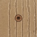 deckfast-metal-cap-tor-xd-metal-brown-34-350-pc-deck-pack-1-5-8-self-drill-type-410-stainless-steel-deck-fastener-for-use-with-metal-joists-trex-elevations-03-ec2618eb594b12e3f52129f0f5445320.jpg