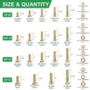 foliv-772pcs-grade-8-bolt-assortment-kit-heavy-duty-bolts-and-nuts-kit-1-4-20-5-16-18-3-8-16-1-2-13-sae-sizes-included-upgraded-package-04-7655cda15a8e424b42622b7b47c8bef2.jpg
