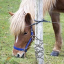 gate-chain-lock-for-outdoor-fence-20-in-door-chain-lock-stainless-steel-gate-chain-lock-with-carabiners-gate-latches-lock-metal-gate-chain-link-fence-chain-for-yard-pet-cages-horse-cow-corral-supplies-08-18ed41aaedc0340af65acc4690904daf.jpg