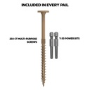 1-4-multi-purpose-flat-head-structural-screw-4-x-1-4-250-ct-camo-360209-06-148c0d51e21060e260bad096dac1b517.jpg