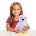 harry-potter™-creature-small-plush-super-soft-plush-toy-ages-3-up-02-e4172e36-cad4-4374-a605-26b0749f673f.f26d5016469655ddf5aa8b434e4a6690.jpg