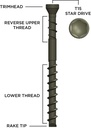 camo-edge-deck-screws-1-7-8-stainless-steel-1750-02-b996a55470ef917de2c7d8b560748125.jpg