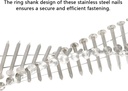 gxywady-3600pcs-1-1-2-x-0-09-inch-coil-roofing-ring-shank-siding-nails-15-degree-coiled-nails-304-stainless-steel-wall-nails-small-cap-coil-nails-04-8585ac18bed1791bc65dead10e07f540.jpg