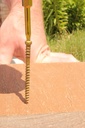 grk-fasteners-16083-rt-propak-trim-head-composite-deck-screws-8-by-3-1-8-inch-514-count-gold-514-count-02-7135da3470a2c2f4b670e288b0b2ff4f.jpg