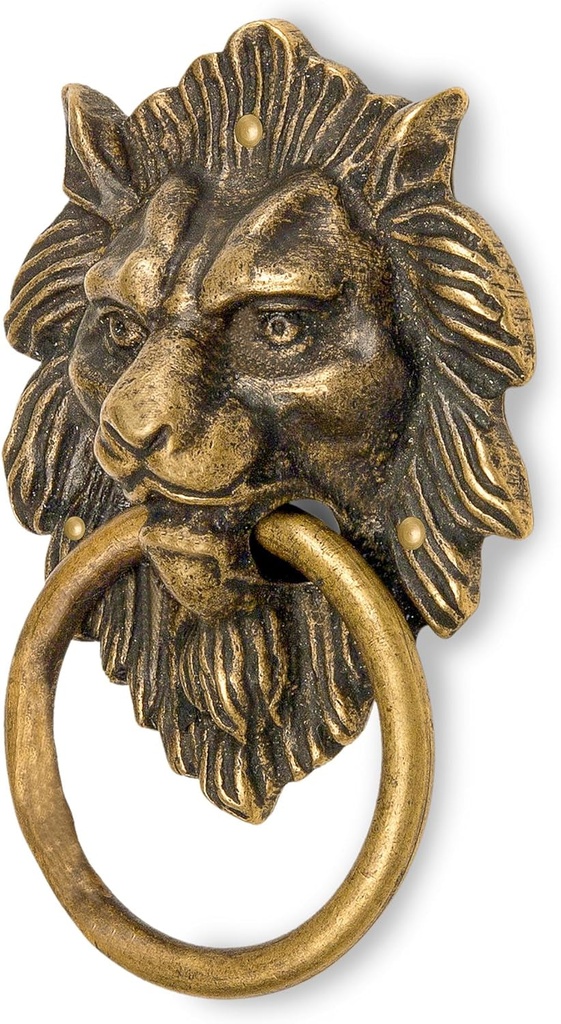 hardware-philosophy-golden-hair-lion-brass-door-gate-pull-hardware-4-02-6530c7cb7d9329fe4be31b0de0f54d6c.jpg
