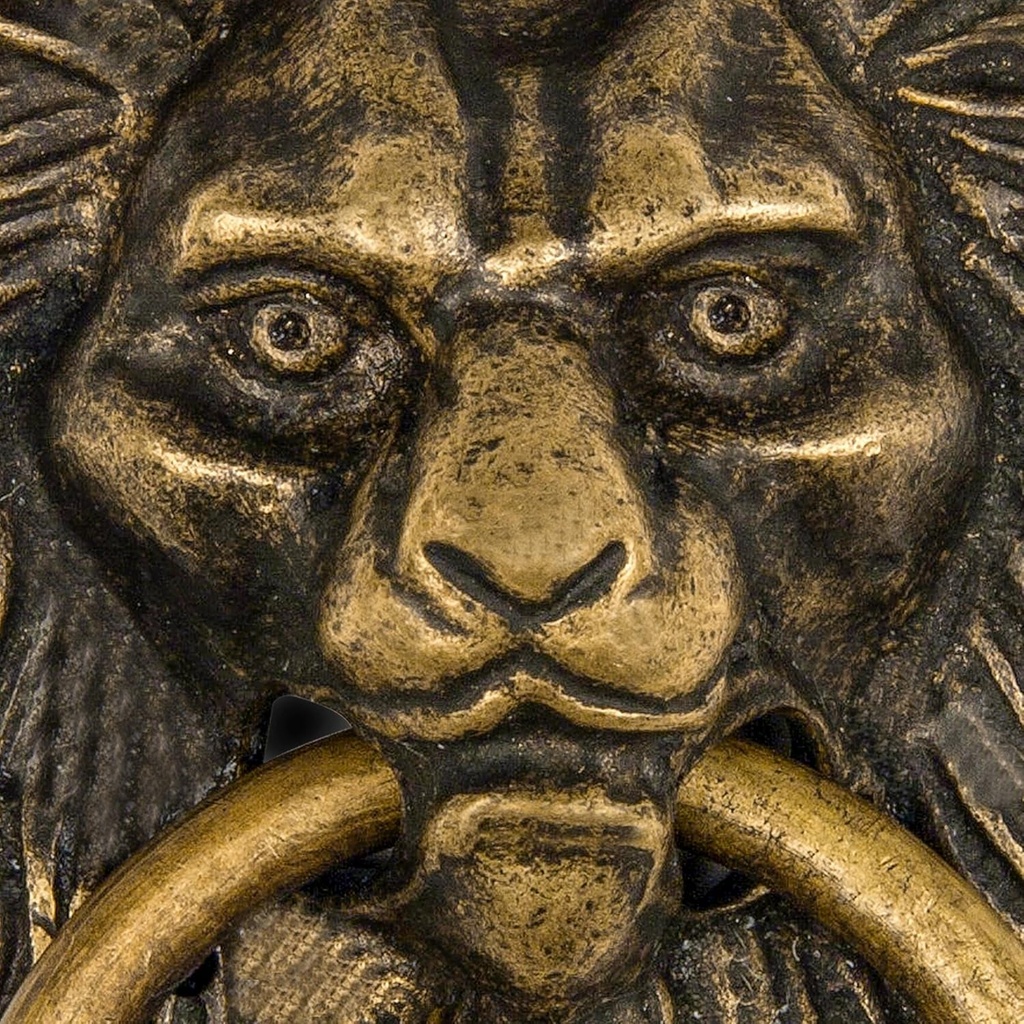 hardware-philosophy-golden-hair-lion-brass-door-gate-pull-hardware-4-04-5e3328f992997d9cb6e5f7c9c5d7e72e.jpg