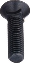 260081-1-2-inch-x-2-inch-plow-bolts-50-pack-black-02-080e9bc1a15f873bbd967fde0049e51b.jpg