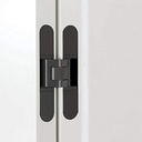 2pcs-7inch-hidden-door-hinges-invisible-hinges-heavy-duty-zinc-alloy-3-way-adjustable-butt-hinge-180-degree-swing-concealed-hinge-black-05-2ae2a44856bc221fae85e242df68ef82.jpg