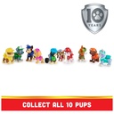 paw-patrol-10th-anniversary-all-paws-on-deck-10-collectible-toy-figures-gift-pack-04-de4c4de6-2c3c-485d-a826-a3a626694f59.8c16bcc86cd90e6092b1fc151d069bab.jpg