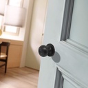 probrico-round-entry-door-lockset-flat-black-keyed-entry-door-knobs-bedroom-bathroom-door-knobs-with-lock-and-different-keys-6-pack-02-465b5ae490e6b32a67abcac628ea2e47.jpg
