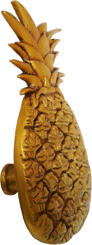 purpledip-pure-brass-unique-door-knob-drawer-cupboard-pull-handle-fruity-delight-11590-04-61b34263e662ce89fadc70c84e8f4d71.jpg