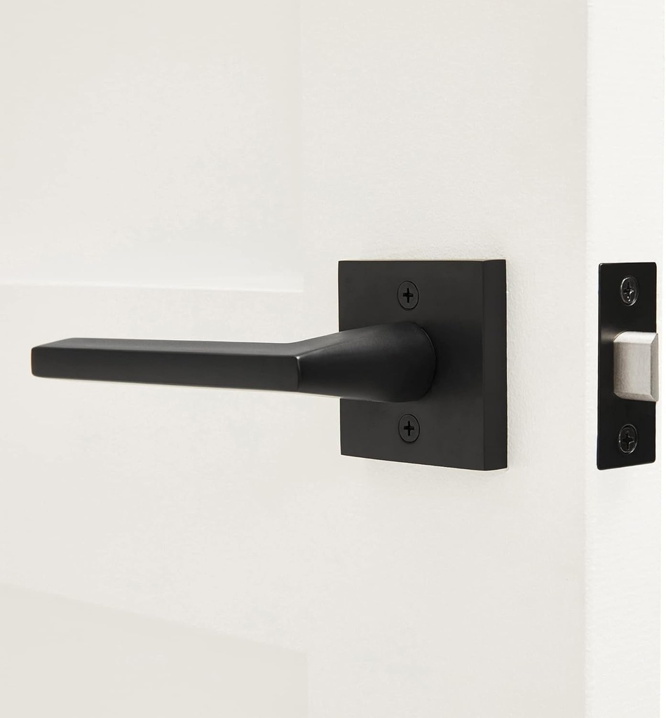 paris-model-solid-brass-lever-hallway-closet-passage-door-handle-matte-black-02-0dc09fc06483280a40f4551cacbe5ae6.jpg