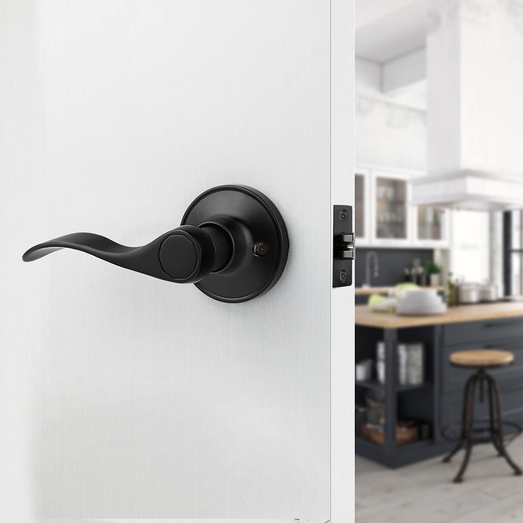 gobrico-10-hall-and-closet-levers-black-matte-passage-door-handles-locks-for-interior-doors-bulk-pack-03-fa5ee5ab5a0781e08c0418716bbaa7d5.jpg