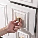 tnoms-square-cabinet-handles-and-knobs-with-crystal-all-metal-drawer-furniture-pulls-with-screws-contemporary-euro-style-8-pack-ftp2001tg-p8-03-ee9db94c6abac73c7cc9ec6bc35030d1.jpg