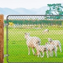 cast-304-stainless-steel-gate-hinges-4pcs-wall-mount-gate-hinge-for-fence-gate-one-piece-farm-gate-hardware-for-chain-link-gate-fit-5-8-pin-fence-post-hinge-07-70134dd057b6ead35a7c674edad42821.jpg