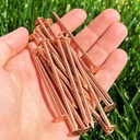 3-inch-copper-nails-roofing-finish-nails-usa-made-solid-pure-copper-slating-nails-spikes-flashing-furniture-boat-package-includes-the-highest-quality-copper-nails-by-dubbs-hardware-50-03-9dd8361dae79d48f71aa42477d05d1e4.jpg