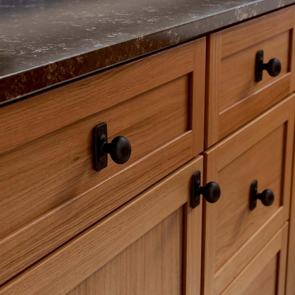 franklin-brass-knob-with-backplate-5-pack-cabinet-knobs-matte-black-drawer-knobs-kitchen-cabinet-knobs-for-dresser-drawers-pulls-and-knobs-1-1-4-closet-door-knobs-p28198k-fb-b-03-422477308e2cfb14caa85c179e55910b.jpg