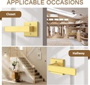 probrico-5-pack-gold-dummy-door-levers-door-handles-heavy-duty-interior-door-levers-modern-non-turning-door-hardware-for-french-door-02-171ed84d6d4c99aa6b3774976243807e.jpg