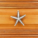 costello-coastal-starfish-cabinet-knob-medium-pewter-hardware-collection-kitchen-bedroom-living-room-bathroom-cabinet-and-drawer-knobs-06-fb3eaec03f49972aad4526a56754ed51.jpg