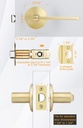 goldenwarm-6-pack-gold-door-handle-interior-privacy-door-handle-brushed-gold-door-handle-satin-brass-door-lever-for-bedroom-and-bathroom-with-lock-door-hardware-zinc-alloy-easy-installation-06-fe922b9e2cb24468a929d2b491b3fb33.jpg