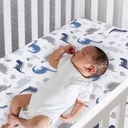 lambs-ivy-baby-dino-blue-white-dinosaur-nursery-6-piece-crib-bedding-set-03-f02a1f9241c5023e821e9e90260035e0.jpg