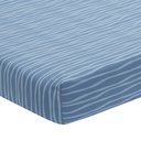 lambs-ivy-baby-dino-blue-white-dinosaur-nursery-6-piece-crib-bedding-set-06-2a67ca18d8be6aa12b4f36b57f23f16b.jpg