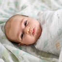 aden-anais-essentials-dream-blanket-muslin-baby-blankets-for-girls-boys-ideal-lightweight-newborn-nursery-crib-blanket-unisex-toddler-infant-bedding-registry-gift-voyager-ecosphere-03-56bf679d2b45762fd661788ede184091.jpg
