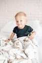 copper-pearl-three-layer-baby-blanket-soft-baby-quilts-for-boys-and-girls-breathable-cozy-toddler-blanket-baby-quilt-for-newborns-46x46-premium-polyester-rayon-noah-05-d2a6bbae255769ec8773615d5667db70.jpg