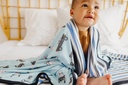 copper-pearl-three-layer-baby-blanket-soft-baby-quilts-for-boys-and-girls-breathable-cozy-toddler-blanket-baby-quilt-for-newborns-46x46-premium-polyester-rayon-leo-06-490a8c1cc9d6df5356aa610f18ec2f51.jpg