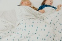 copper-pearl-jumbo-3-layer-baby-blanket-soft-baby-quilts-for-boys-and-girls-breathable-cozy-toddler-blanket-baby-quilt-for-newborns-46x46-premium-polyester-rayon-dream-06-50e2d7a452174351dda7220233aff3ea.jpg