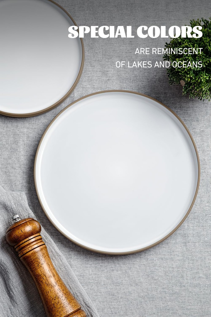 famiware-nature-plates-and-bowls-sets-12-pieces-stoneware-dinnerware-sets-dishes-set-for-4-dishware-sets-microwave-and-dishwasher-safe-snowy-white-06-72f54561b298ac995b74d7f8e41c6bc2.jpg