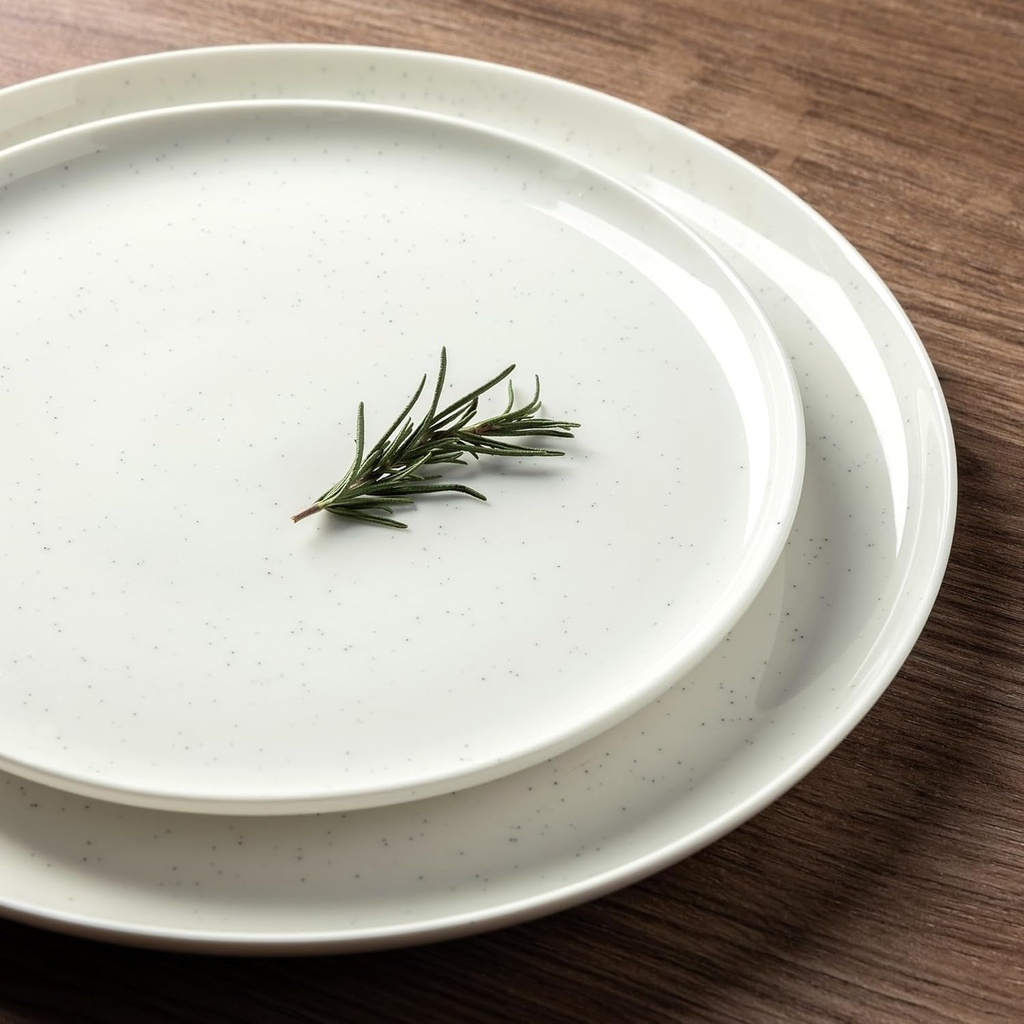 ceramic-dinnerware-sets-of-4-stoneware-plates-and-bowls-sets-handmade-speckled-reactive-glaze-dishes-set-scratch-resistant-oven-dishwasher-microwave-safe-service-for-4-milk-white-02-595eaedbd8437756bc6ee619d15099cd.jpg