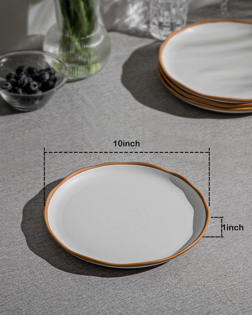 lareina-ceramic-dinner-plates-set-of-6-10-inch-stoneware-dish-set-with-wavy-rim-specks-modern-rustic-dinnerware-plate-set-kitchen-porcelain-serving-dishes-matte-vanilla-white-06-082ccc609d07b82dba32e71c5b6793a9.jpg