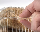 ip-slp74-one-piece-container-with-4-large-muffin-compartments-case-of-300-clear-06-f4610394a4b8417facce1a196f4dae23.jpg
