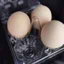 limera-disposable-plastic-egg-cartons-clear-100-pieces-tray-egg-container-holder-for-refrigerator-12-egg-tray-transparent-04-a995370df1e26274bdd4d92d0e8312a7.jpg
