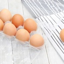 limera-disposable-plastic-egg-cartons-clear-100-pieces-tray-egg-container-holder-for-refrigerator-12-egg-tray-transparent-06-55c616887055361fe9ccf79183e126e6.jpg