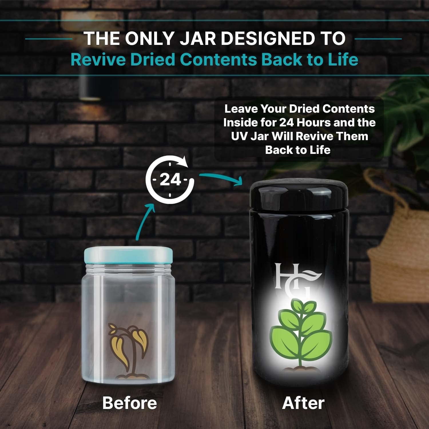 Herb Guard Airtight Jar 3 Pack - Fresh Storage Solution