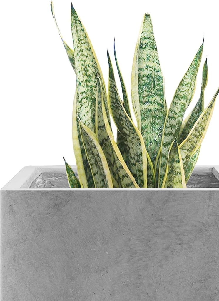 kante-10-inch-square-concrete-planter-for-outdoor-indoor-home-patio-garden-larg-1-04-52d3c04bf0e4830564db13cb8091d8b5.jpg